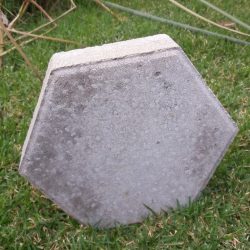 87d92681-a4b5-4b76-a83f-0f15b76988c9